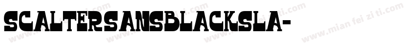 Scalter SansBlackSla字体转换